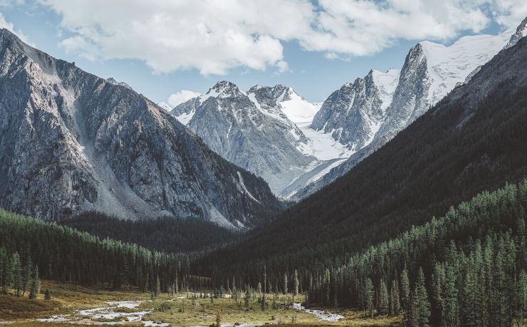 钢铁行情走势图：2024年市场趋势与投资指南